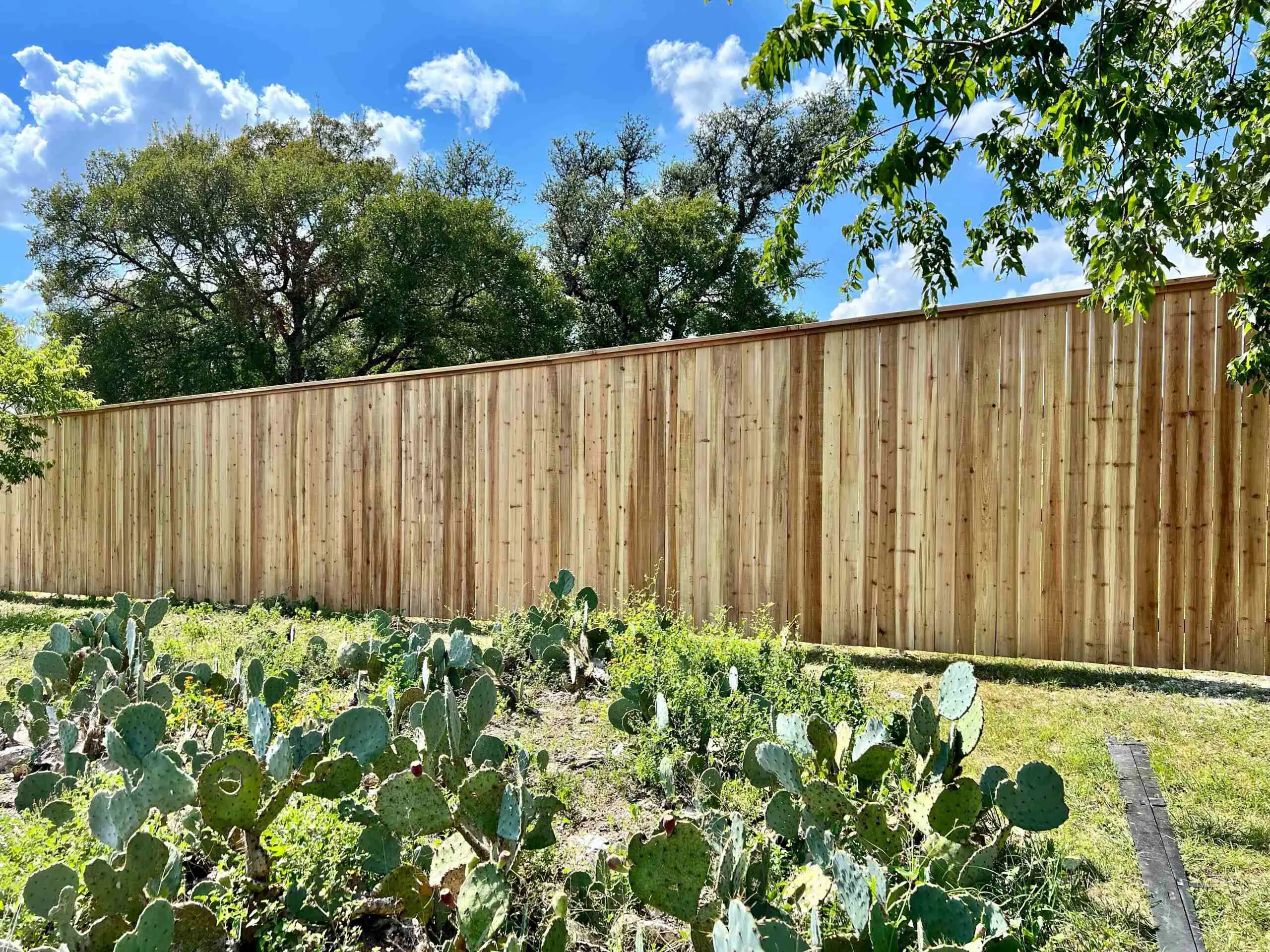 Newly built Colorbond fence with exposed timber posts on residential property.