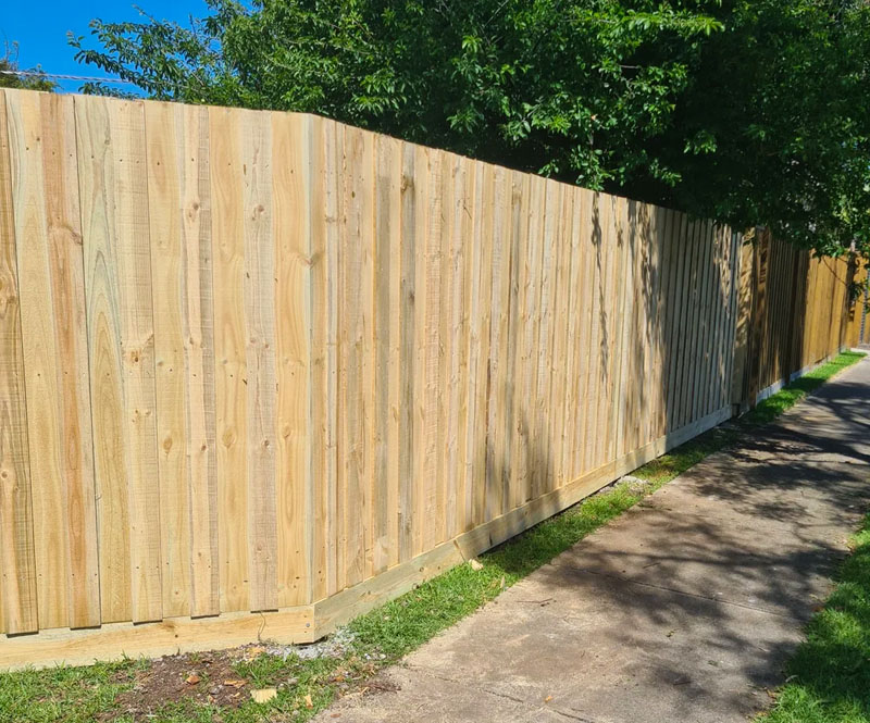 Newly built timber paling fence on residential property.
